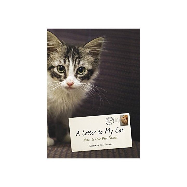 A Letter to My Cat: Notes to Our Best Friends
